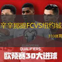  辛辛那提FCVS紐約城